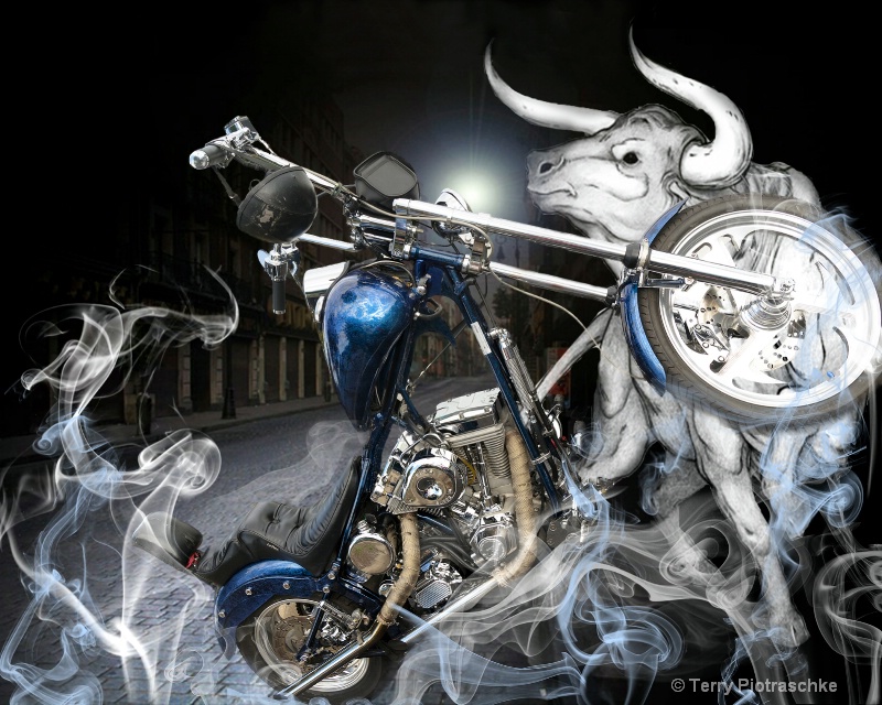 Bull Rider - ID: 14810245 © Terry Piotraschke
