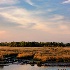 2Lowcountry Evening - ID: 14810603 © Carol Eade