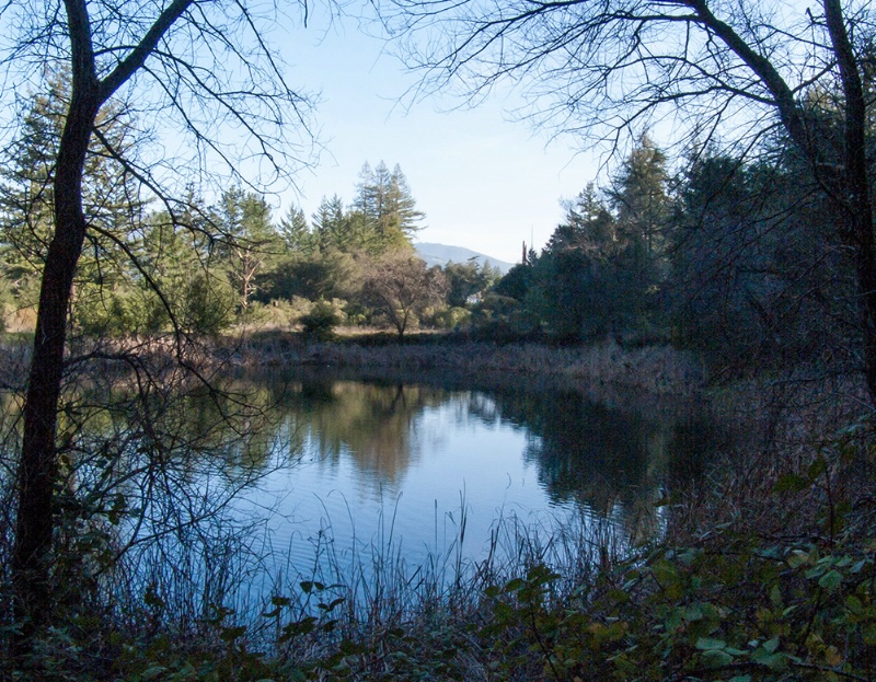 Lake at old Alma College