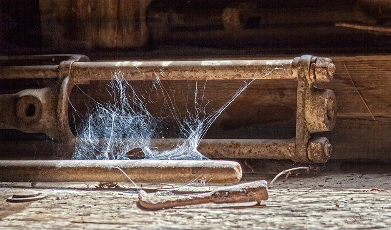 In The Old Barn Window