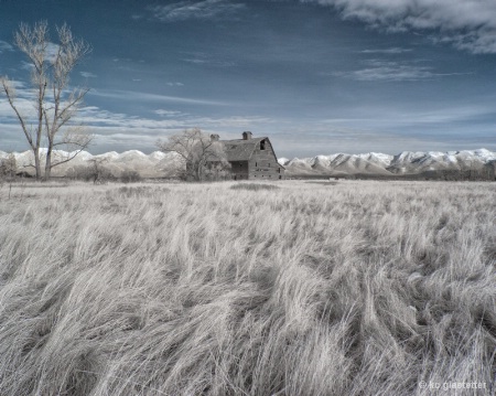 Infrared Blasdale Barn