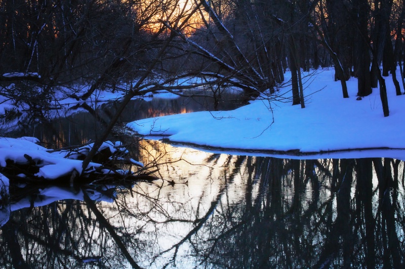 ~ WINTER REFLECTIONS ~