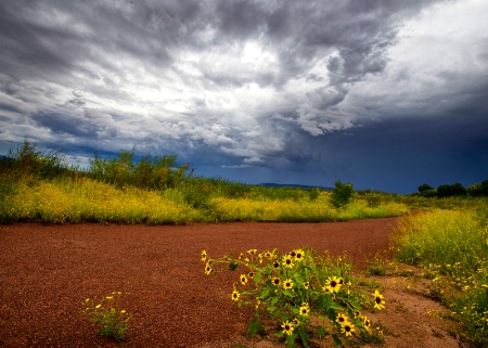 Sedona Wetlands