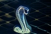 Cobra