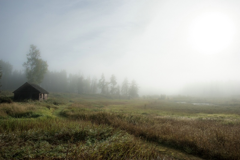 misty morning - larry citra - ID: 14813893 © Larry J. Citra