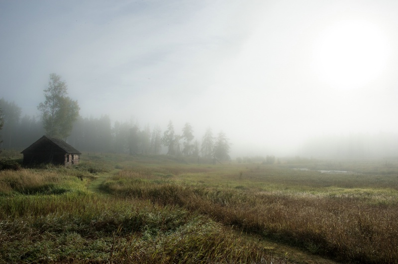 misty morning -    larry citra - ID: 14813893 © Larry J. Citra