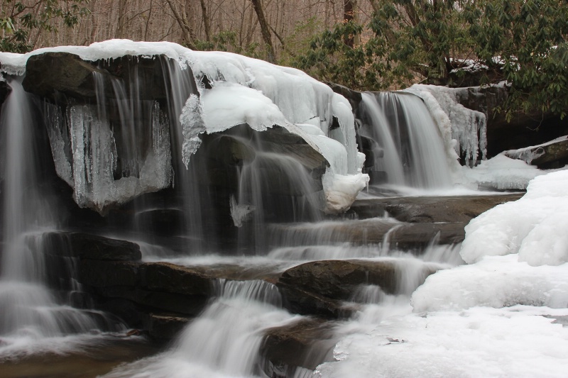 Jonathan Falls - ID: 14814048 © Tammy M. Anderson