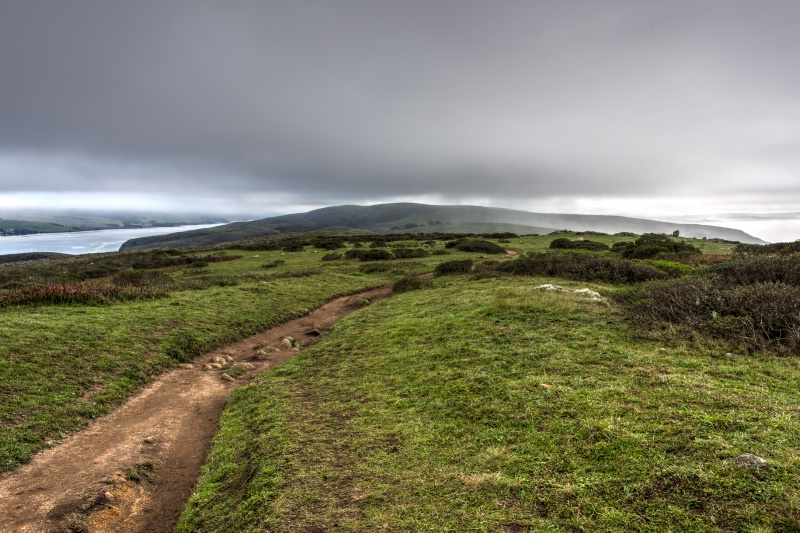 Poit Reyes Fog II