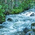2spring freshet  eakin creek -    larry citra - ID: 14814490 © Larry J. Citra