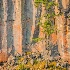 2loan tree on the ledge  spahats creek -    larry c - ID: 14814506 © Larry J. Citra