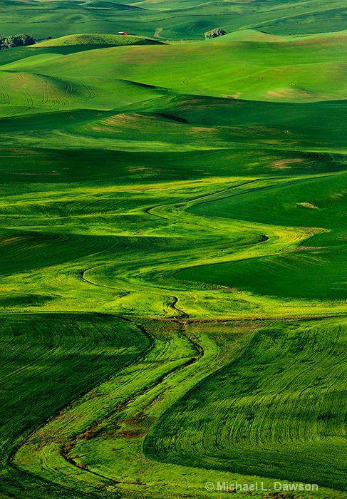 Ribbon of Green