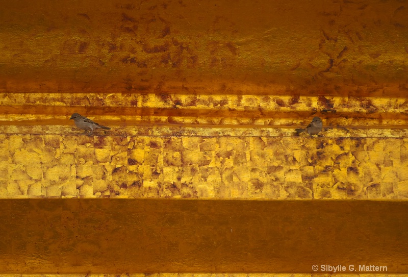 sparrows and gold leaf - ID: 14816199 © Sibylle G. Mattern