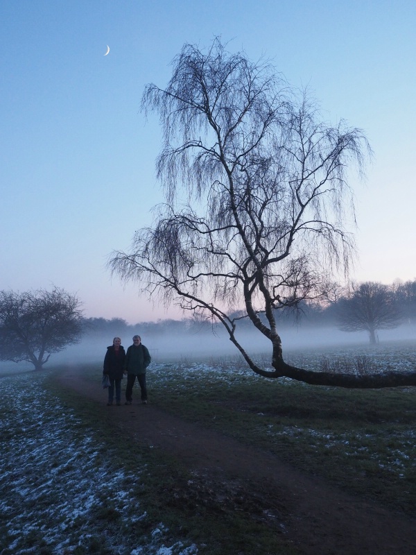 Out of the mist
