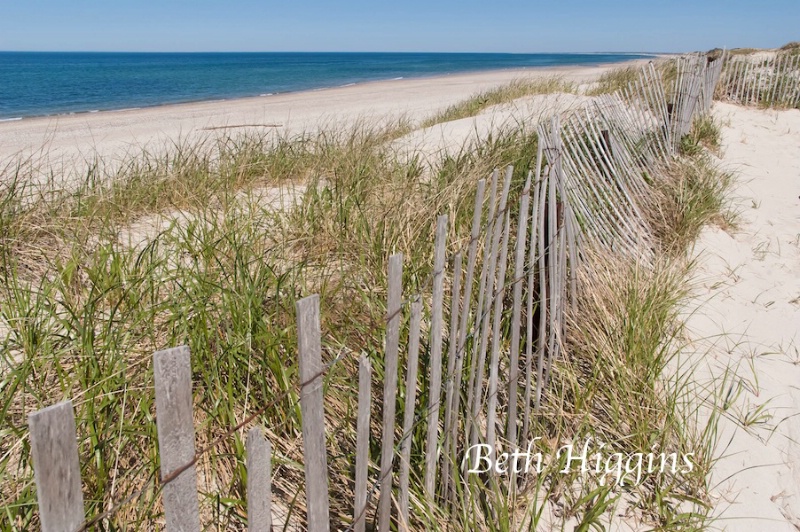Sandy Neck Beach Horizontal  - ID: 14816957 © Beth E. Higgins
