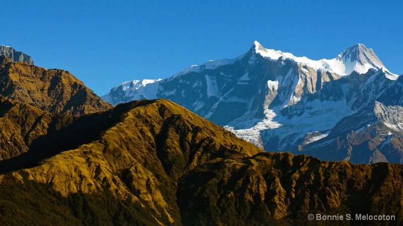 The Annapurna 1