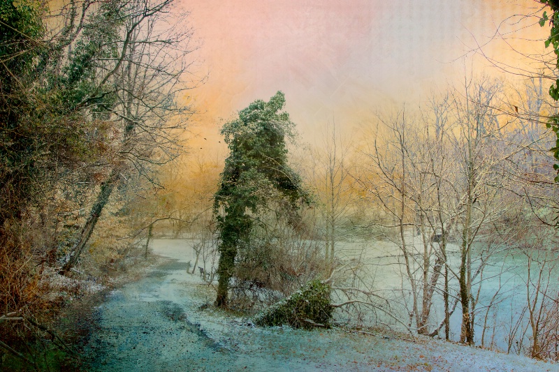 Winter Path - ID: 14817360 © John Rivera