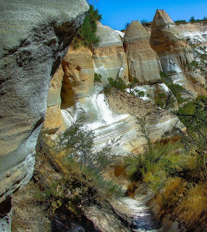 Trail through the Rocky Canyon