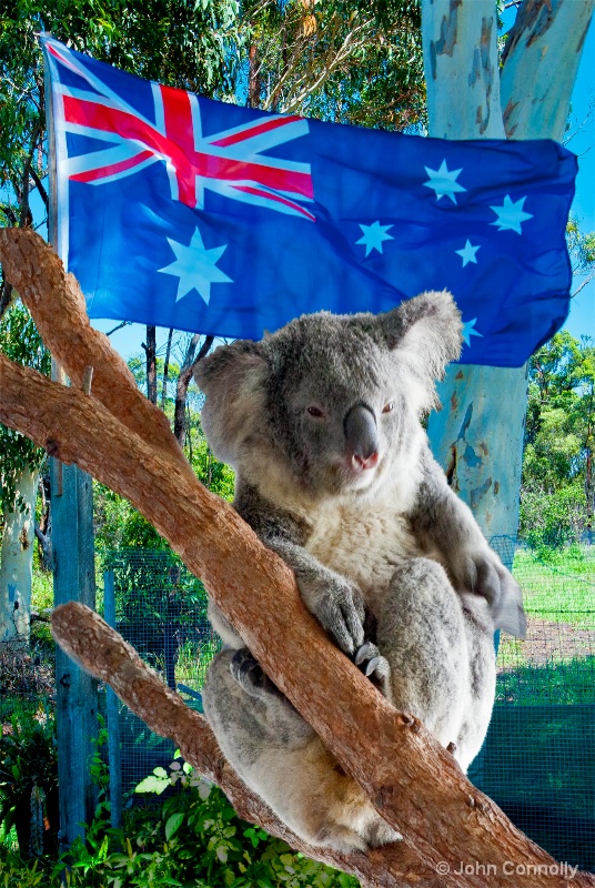 Happy Australia Day!