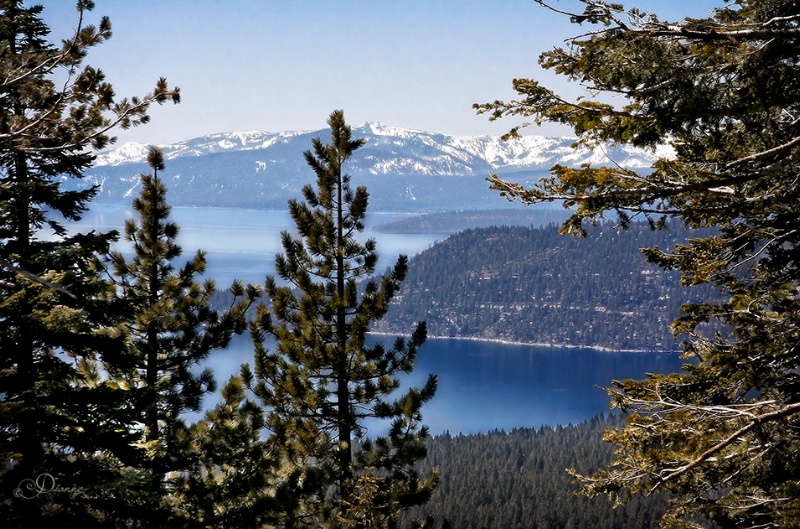 Lake Tahoe View