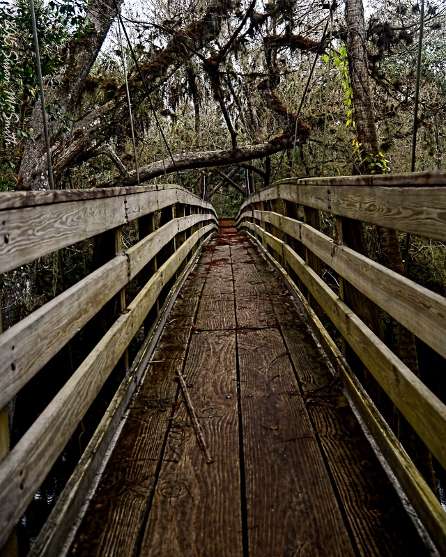 Suspension Bridge