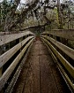 Suspension Bridge