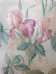 Iris Wallpaper 1
