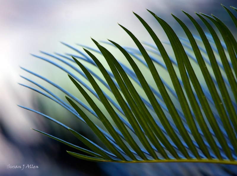 Green on Blue