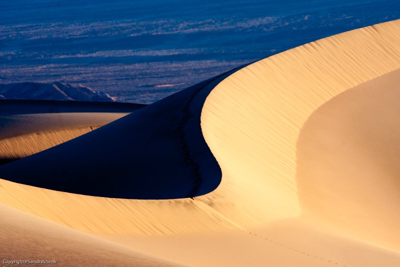 Mesquite Flat Dunes - ID: 14825313 © Sandra M. Shenk