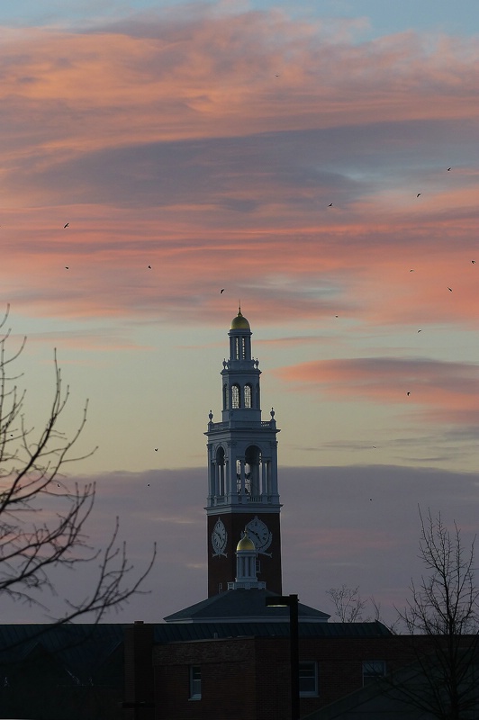 Evening light