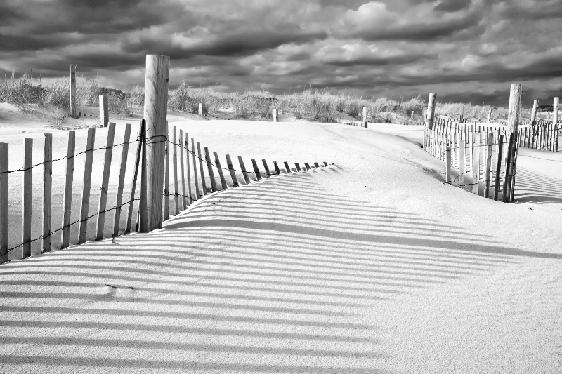 Dune Fence