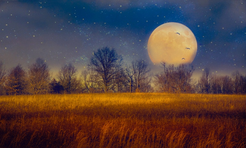 Struck by the Moon - ID: 14825870 © John Rivera