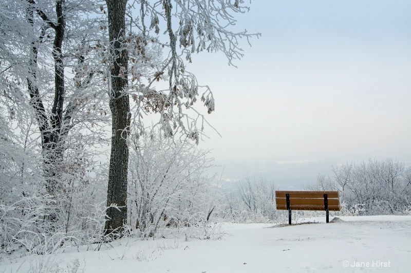 Frosty Overlook