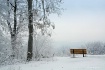 Frosty Overlook
