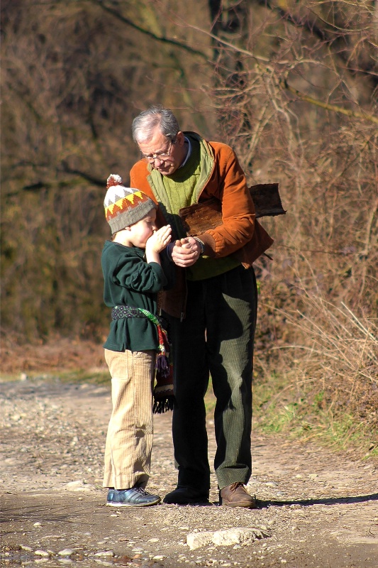 Outdoor school