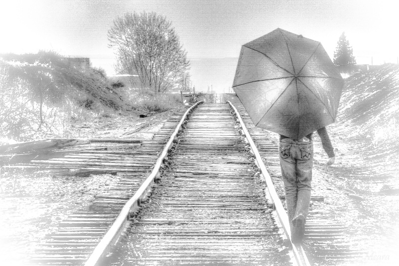 Umbrella #3k - ID: 14829106 © Beth OMeara
