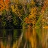 2 8005760-68  - Reflections at Russell Pond - ID: 14829193 © Joseph D. Hancock