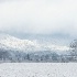 2 8009319 - Snowy Meadow - ID: 14829225 © Joseph D. Hancock
