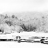 2 8009335 Dan Lawson Place in Winter (B&W) - ID: 14829226 © Joseph D. Hancock