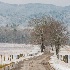 2 8009359 - Hyatt Lane in Winter - ID: 14829227 © Joseph D. Hancock