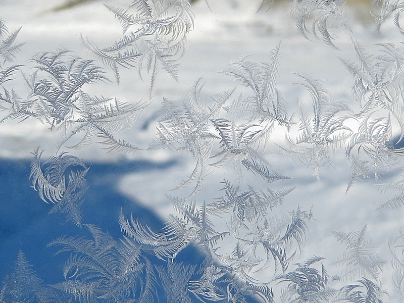 Feather Frost