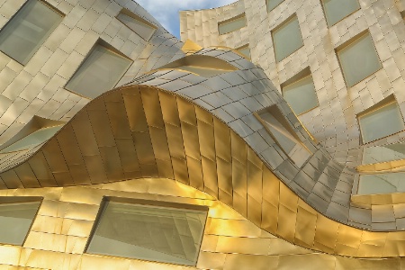Frank Gehry Las Vegas