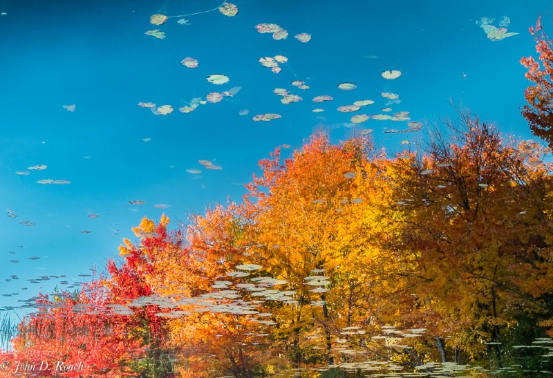 Reflections of Autumn - ID: 14830197 © John D. Roach