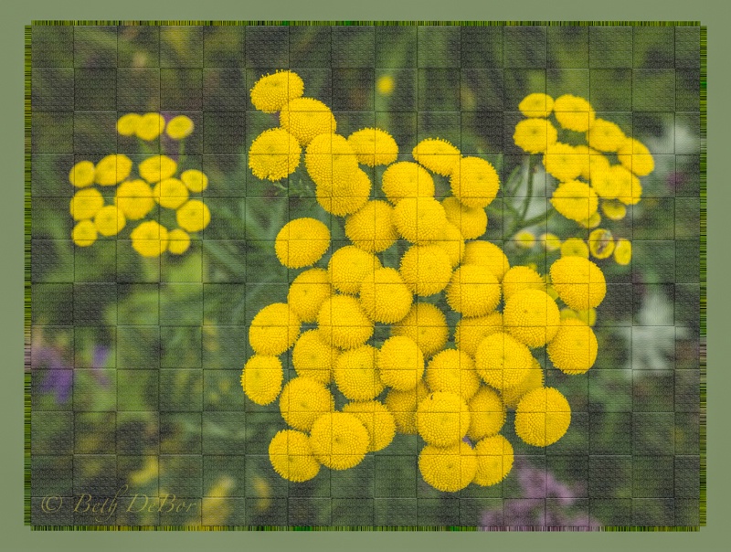 Placemat of Yellow Flowers