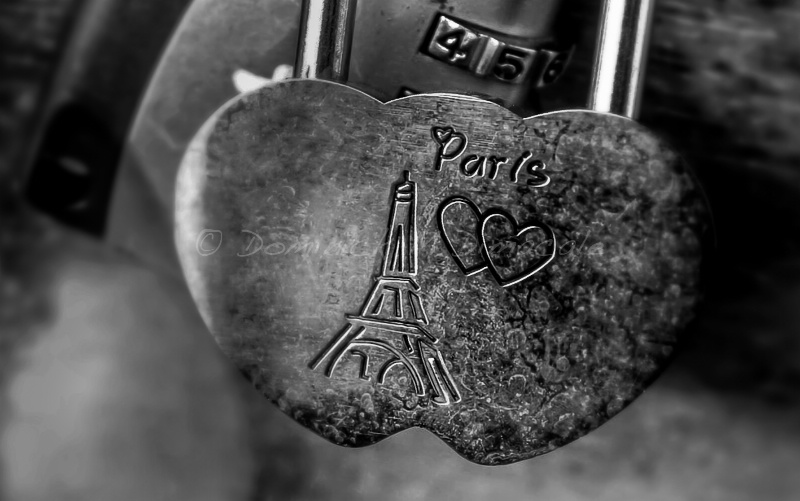 ~ ~ I LOVE PARIS ~ ~