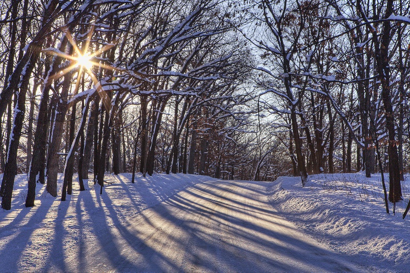 Winter Blues