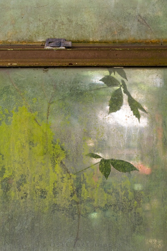 Greenhouse Window