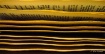 Pages