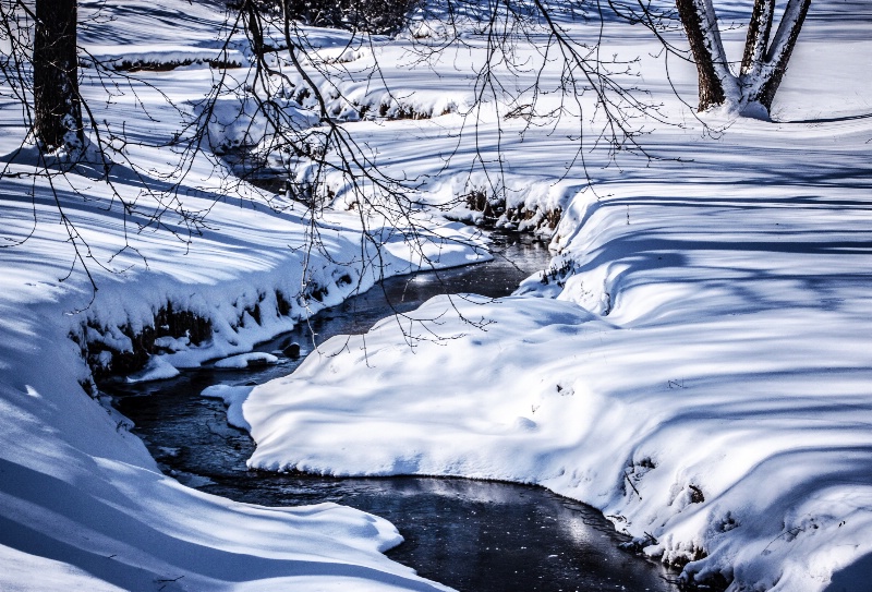 Winter Shadows