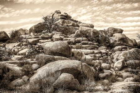 Boulder View