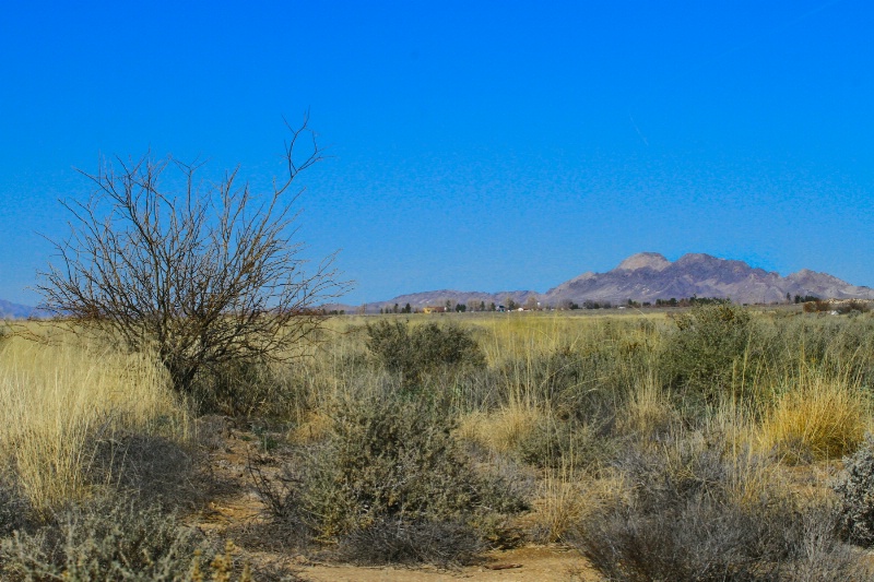 Desert  1